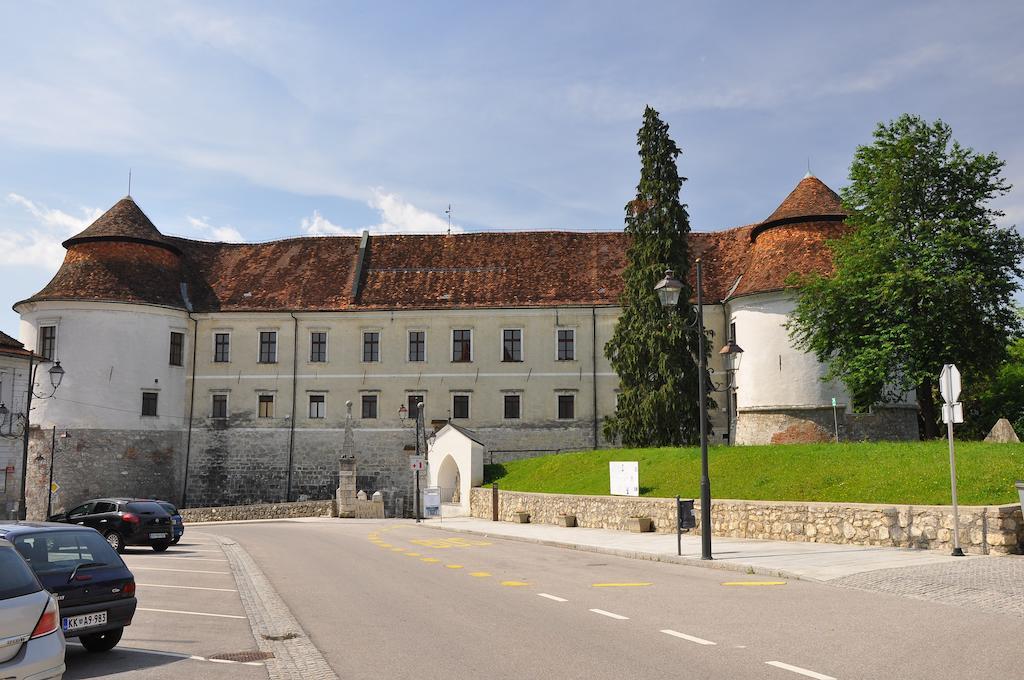 Apartment Gasa Brežice Oda fotoğraf