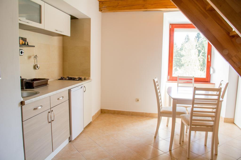 Apartment Gasa Brežice Dış mekan fotoğraf